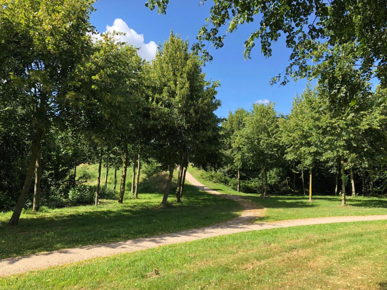 אלטן B&B Nancy In Holland מראה חיצוני תמונה
