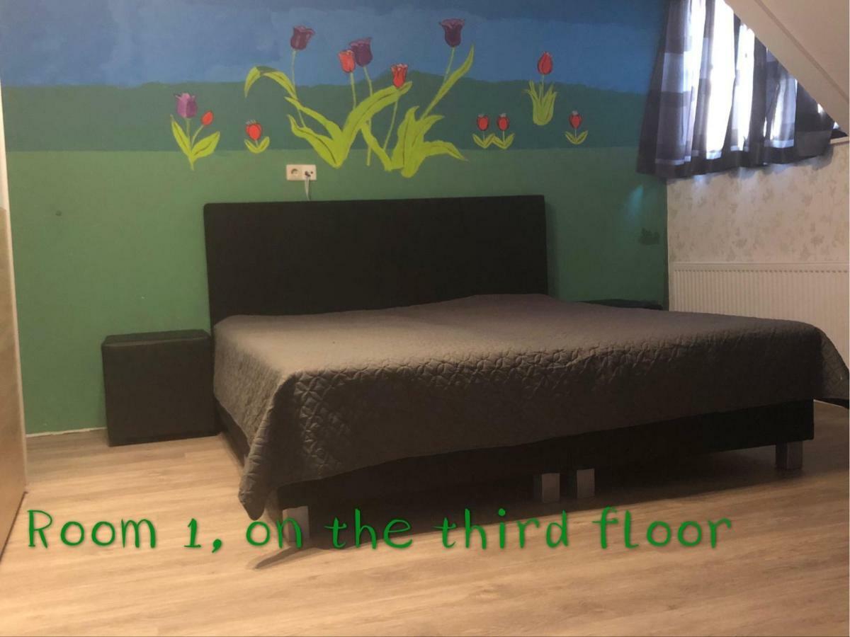 אלטן B&B Nancy In Holland מראה חיצוני תמונה